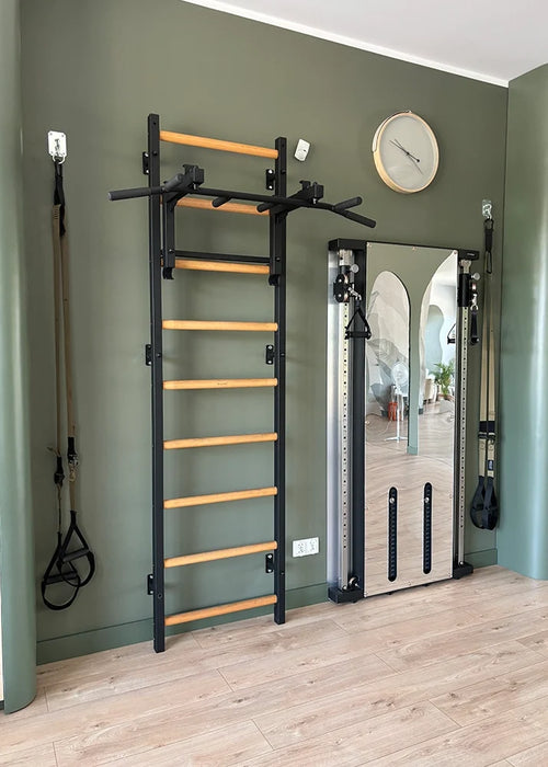 BenchK 731B black Series 7 wall-mounted gym