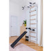 BenchK B1W white workout bench installed on wall bars