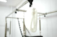 The Core Collab Queen Cadillac Pilates Reformer The Core Collab
