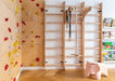 BenchK 111 + A204 with gymnastic rings and climbing rope