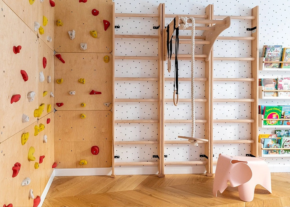 BenchK 111 + A204 with gymnastic rings and climbing rope