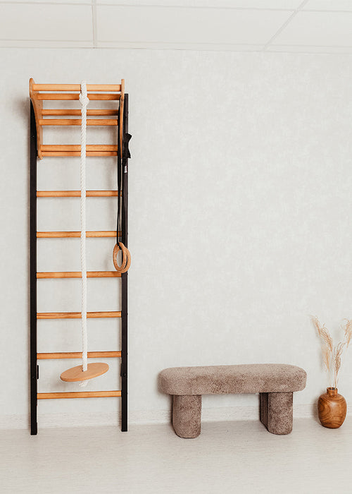 BenchK 211 Black wall bars and gymnastic rings