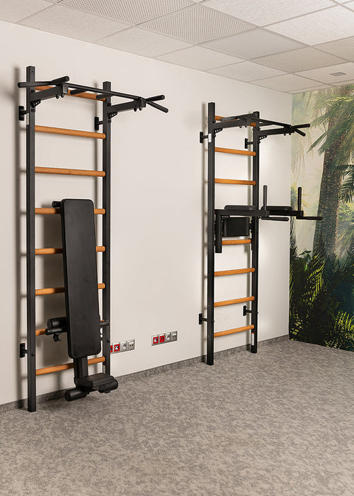 BenchK 223B black gymnastic wall ladder