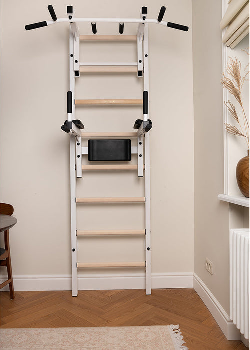 BenchK 232W convertible pull-up and dip station