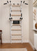 BenchK 232W convertible pull-up and dip station