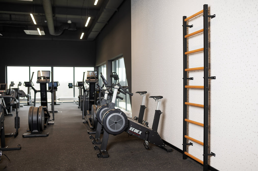 BenchK 700B Black powder-coated steel and beech construction