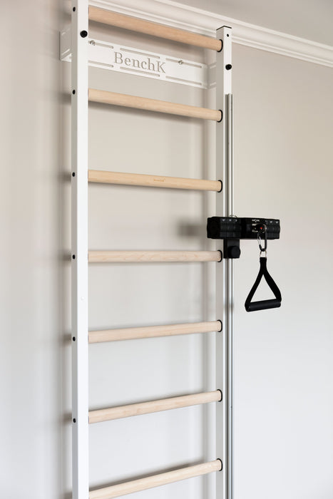 ANCORE Pro cable training exercise on BenchK wall bars
